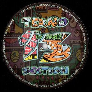 Various - Tekno Section 13 - Tikal Sound Records - Tekno Section 13