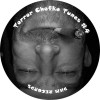 Various - Terror Chefke Tunes #4 - DHM Records - DHM 09
